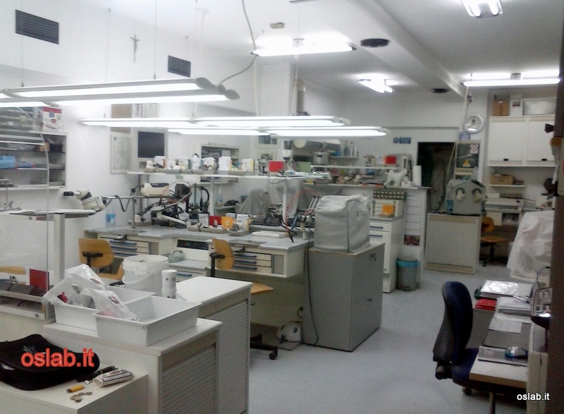 lab